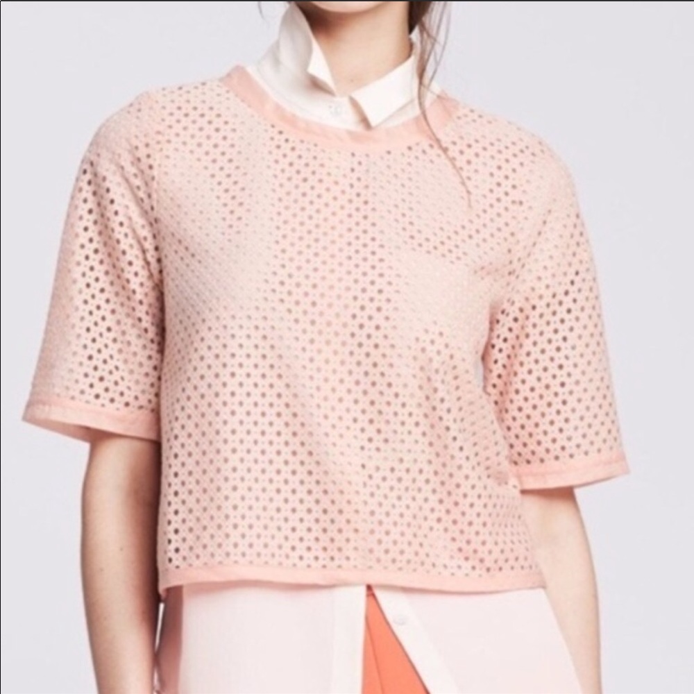 Banana Republic Pink Eyelet Crop Top